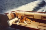 Max on SeaRay 1.jpg