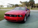 2007_Mustang1.jpg