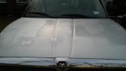 Ram 2001 Dodge paint 2.jpg