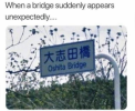 1647306808743.png