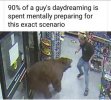 bear.jpg