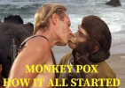 MonkeyPox.png