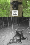 TrailCam.png
