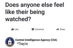 cia.jpg