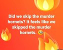 Did-we-skip-the-murder-hornets-It-feels-like-we-skipped-the-murder-hornets-meme-4294.jpeg