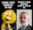 bigbird.jpg