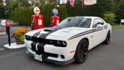 SRT w stripes.PNG