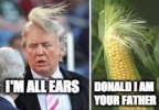 1d178227e31bdb59aee633484be3cd4a--donald-trump-hair-meme-funny-donald-trump~2.jpg