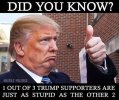 trump-supporters-stupid-know-5791babf5f9b58cdf369ffb9.jpg