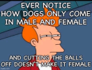 DogsAndBalls.png