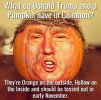 trump-pumpkin-common-58126ce25f9b58564cf1f586.jpg