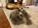 hairball.jpg