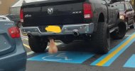 Truck-Nuts-via-Reddit.jpg