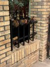 Ybor City chickens.jpg