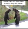 MarriedBears.jpeg