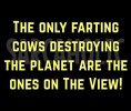 farting_cows.jpg