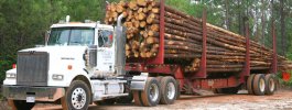 Logging-Truck.jpg