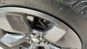 IMG_2213.jpeg