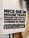 Mice.png