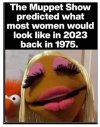 muppet_244322195211276.jpg