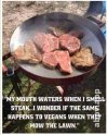 steak_370344658351013.jpg