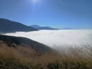 IMG_20230916_083645643.jpg