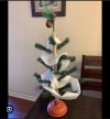 IMG_9132.jpeg