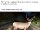 BigBuck.png