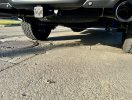 IMG_0946.jpeg