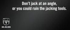 jack.jpg