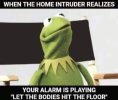 Kermit Alarm.jpg