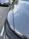 IMG_1267.jpeg