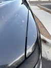 IMG_1268.jpeg
