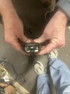 IMG_4155.jpeg