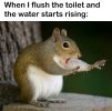 IMG_8388.jpeg