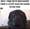 IMG_8389.jpeg
