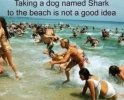 IMG_8391.jpeg
