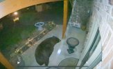 IMG_1424.jpeg