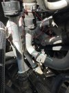 IMG_2294.jpeg