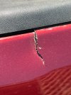IMG_3450.jpeg