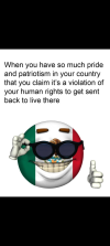 1749513270243.png