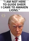 1751099213054.png