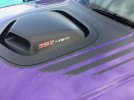 IMG_2840 (1).jpeg