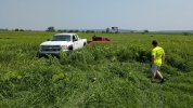 PXL_20250713_170114290.jpg