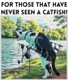 FB_IMG_1752505551736.jpg
