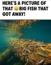 FB_IMG_1752505840095.jpg