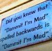 FB_IMG_1752505878071.jpg