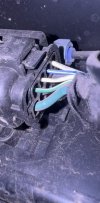 IMG_7325.jpeg