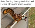 Frosted Flakes Squirrel.jpg