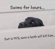 1756043497759.png